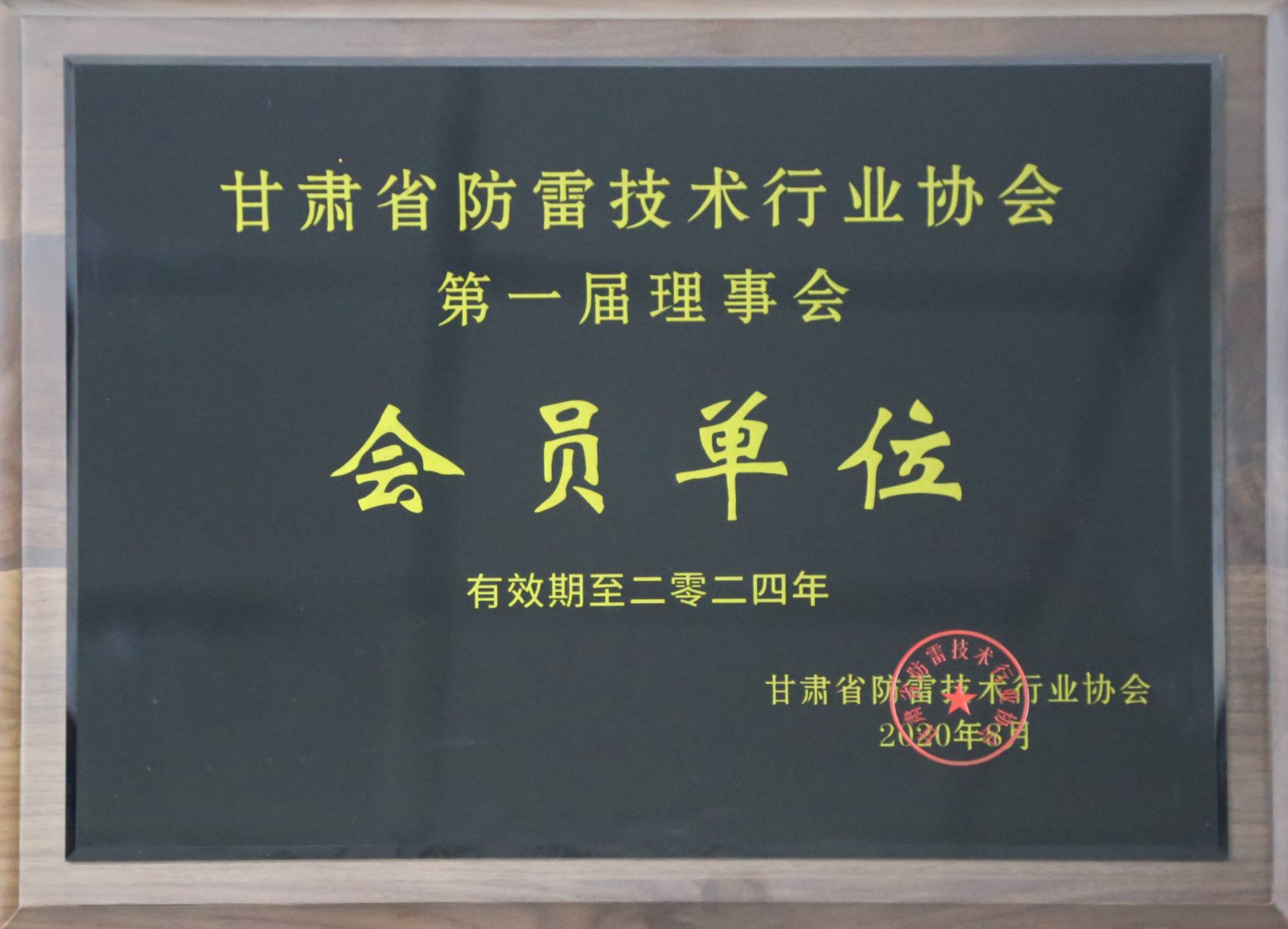甘肅省防雷技術行業協會理事(shì)會會員單位